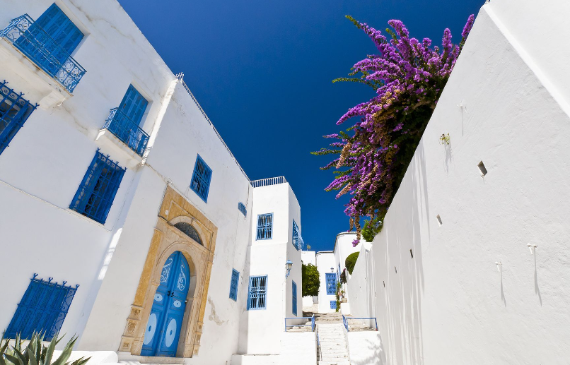 ΣΤΗΝ ΤΥΝΗΣΙΑ ΤΟ ΦΘΙΝΟΠΩΡΟ ΜΕ ΑΡΩΜΑ ΑΝΑΤΟΛΗΣ